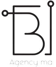 Business Intelligence Agency logo