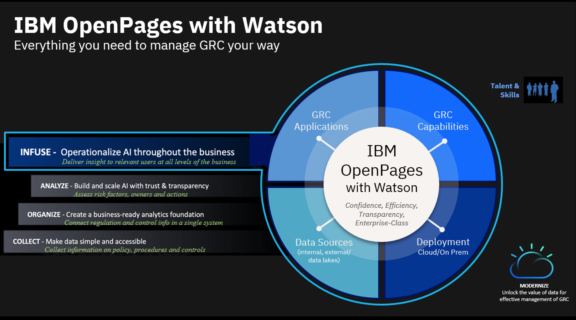 IBM OpenPages screenshot & Video